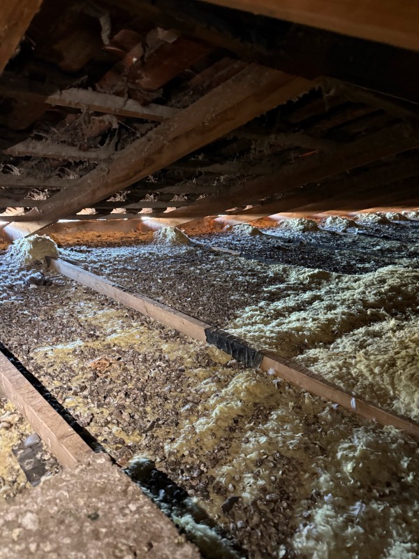 Problème de pigeon dans les combles d'un immeuble à Eguilles 13510 proche d'Aix-en-Provence