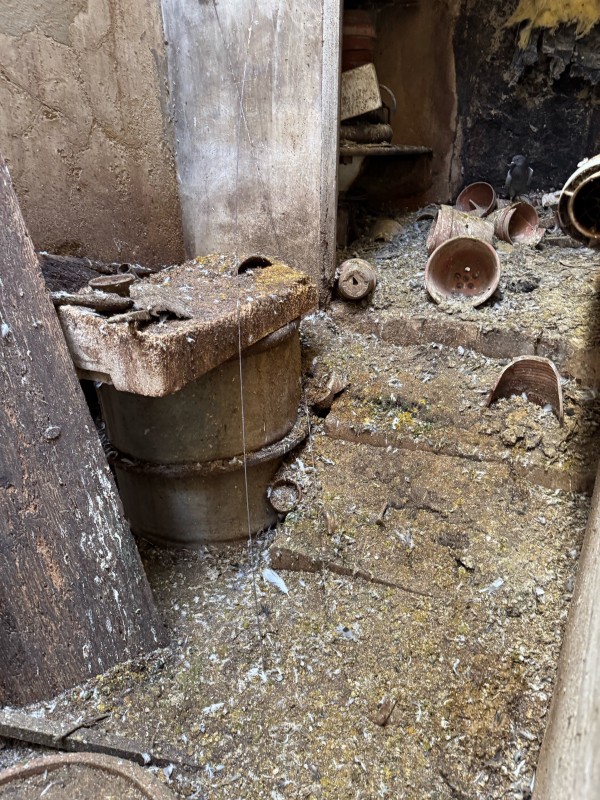 Nettoyage de fientes et pose de filet anti pigeon dans une cour intérieure à Lambesc 13410 dans les Bouches du rhone