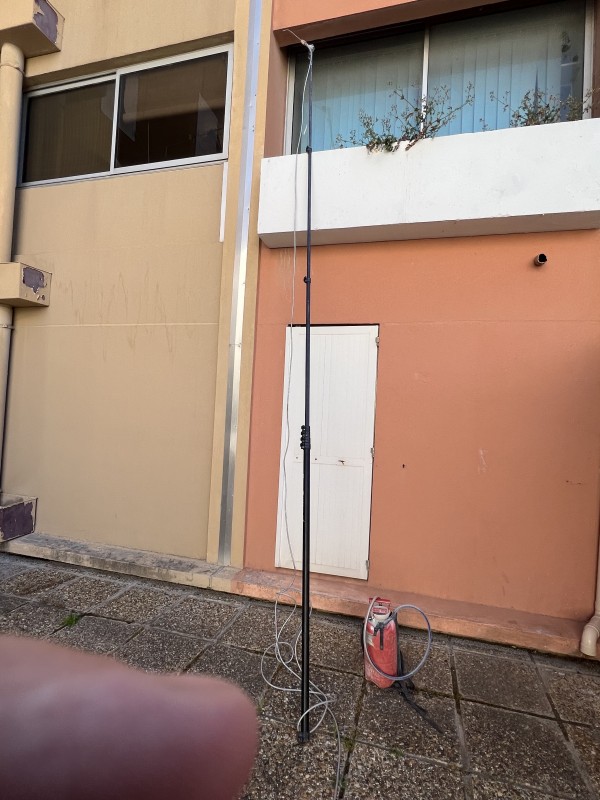 Traitement du premier nid de frelons asiatiques primaire de la saison 2023 à Marseille quartier Mazargues