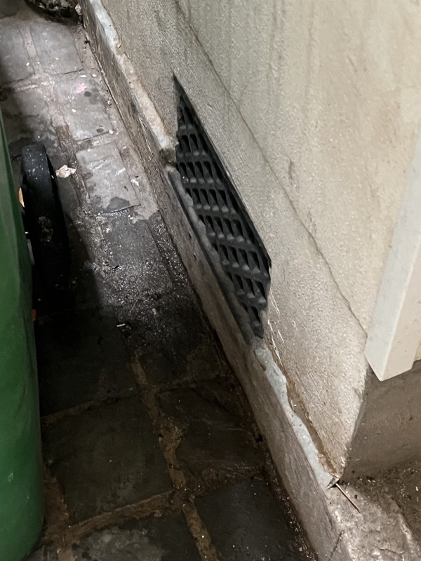 Problème de souris dans une cave à Aubagne - Bouches du Rhones