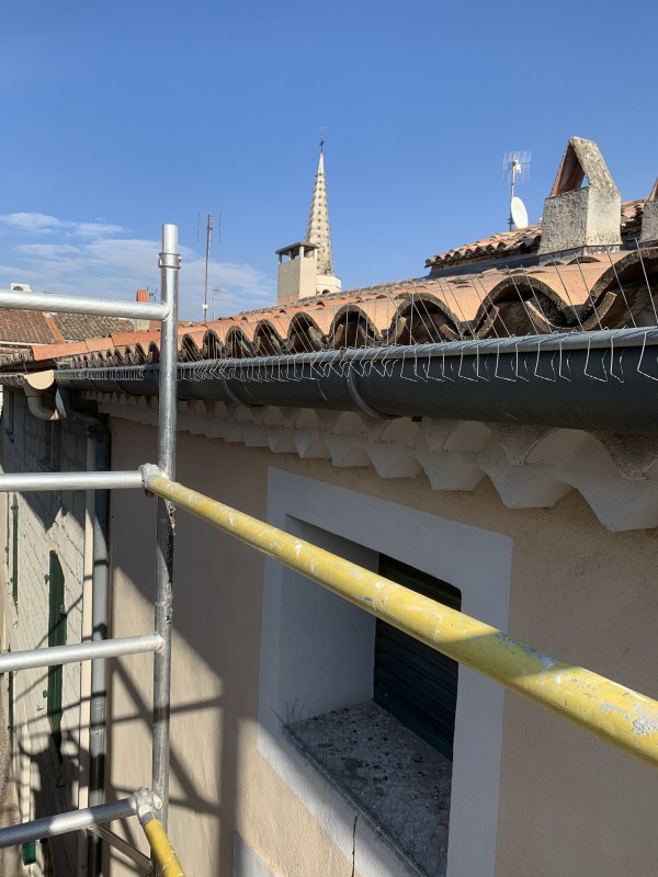 Mise en place de pic gouttière sur une agence du Crédit Agricoles à Graveson (13)