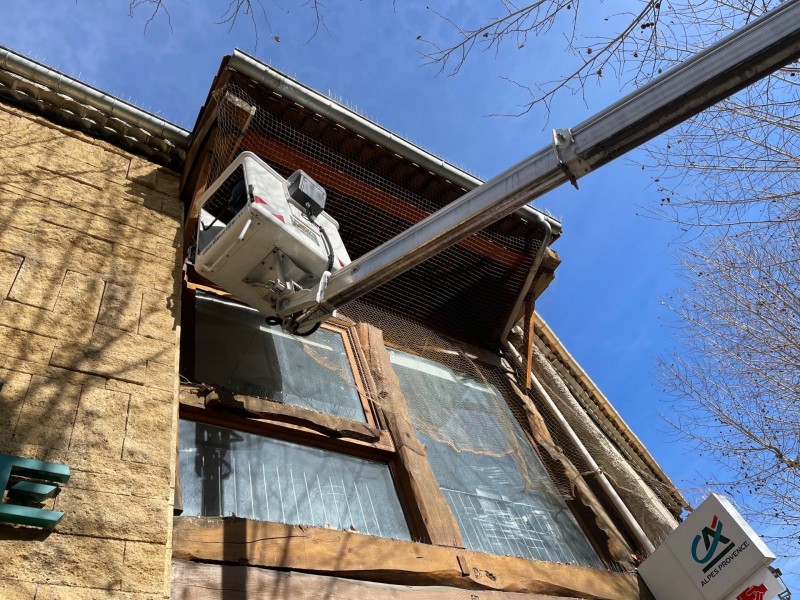 Pose de pic anti pigeon sur un bâtiment professionnel de la Tour d’aigues