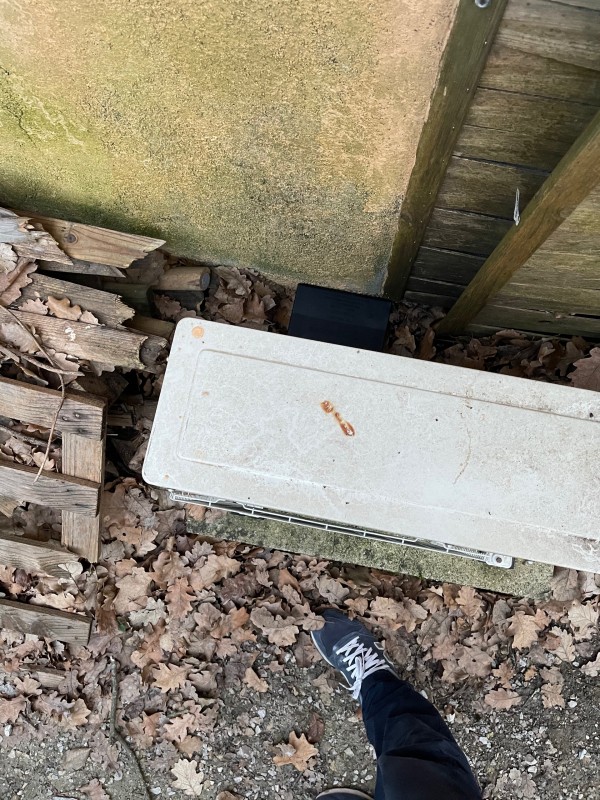 Professionnel de la dératisation et desourisation en région PACA