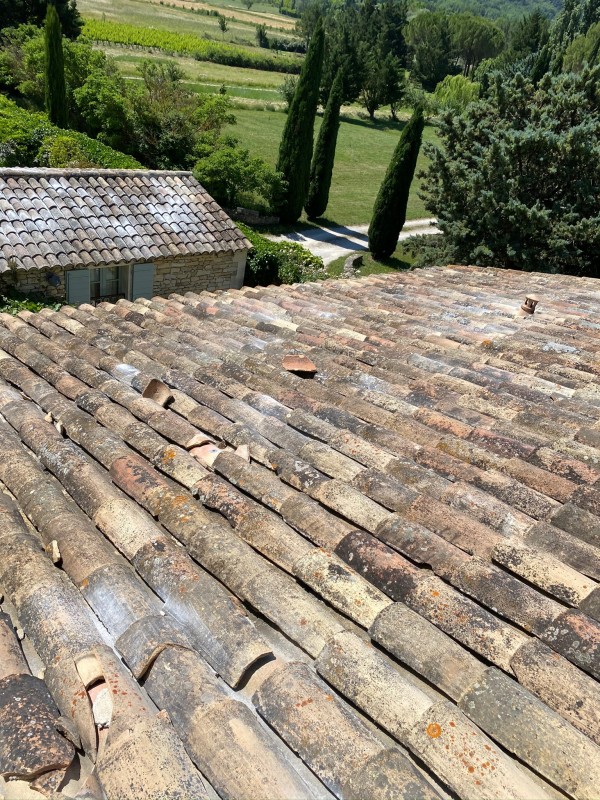 Traitement préventif et curatif des Guêpes sous votre toiture en région PACA