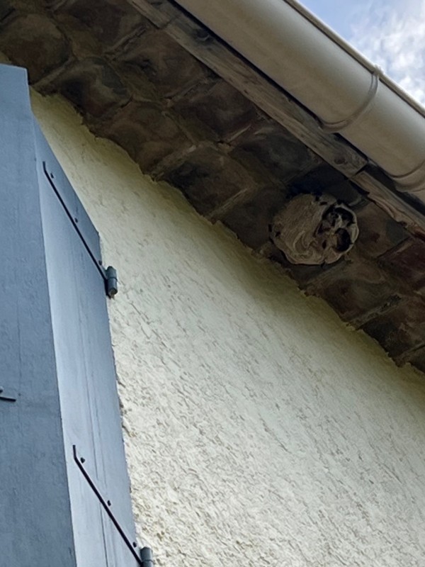 Traitement d’un nid de frelons asiatiques sous les tuiles de cette villa à Marseille 13013 dans les Bouches-du-Rhône.