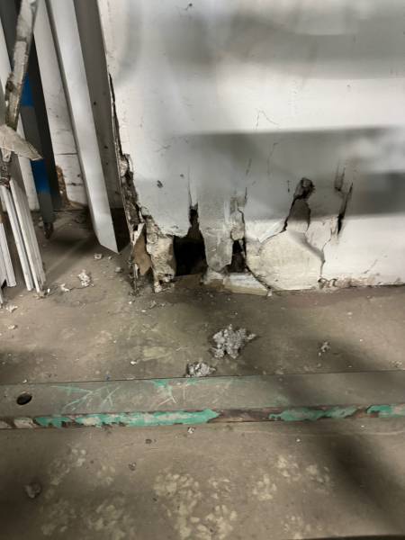 Spécialiste de la dératisation de site industriel en région PACA dans le sud de la France