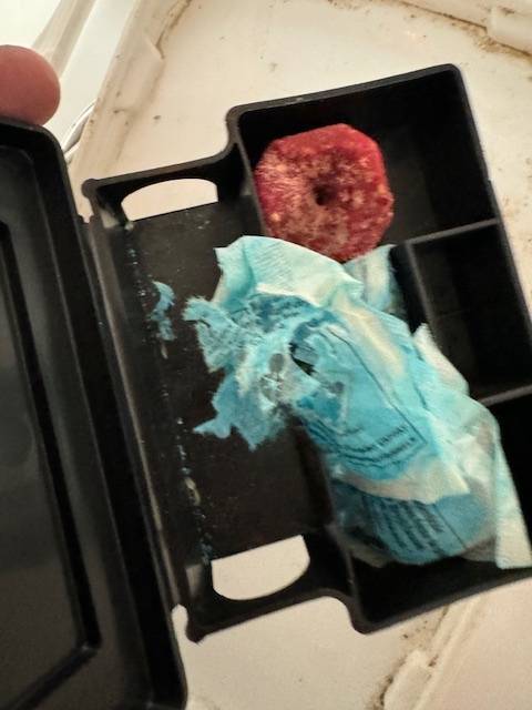 Plan de sanitation contre les nuisibles au sein d’un restaurant  de Marseille  dans les bouches du Rhones