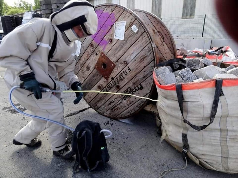 Traitement d’un nid de frelons asiatiques sur un chantier à Marseille 13006