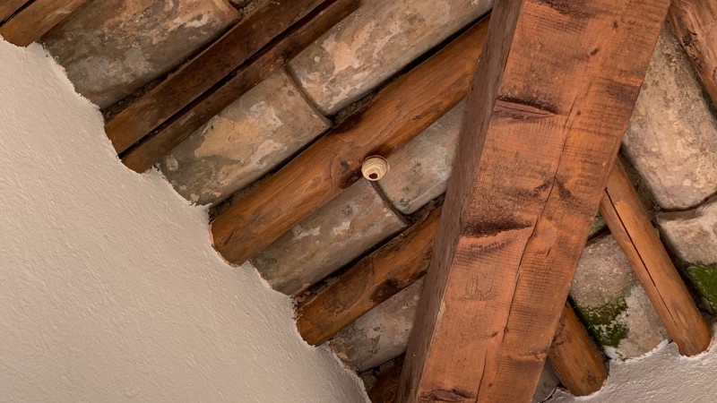 Traitement  nid primaire de frelons asiatiques sur la commune du Beausset dans le Var (83)