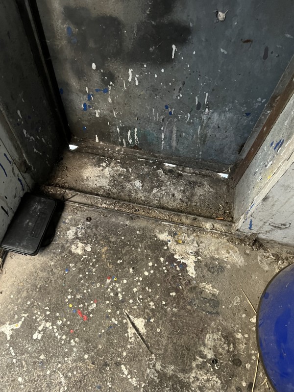infestation de rats dans un dépôt de Bus à Gardanne - Bouches du Rhones