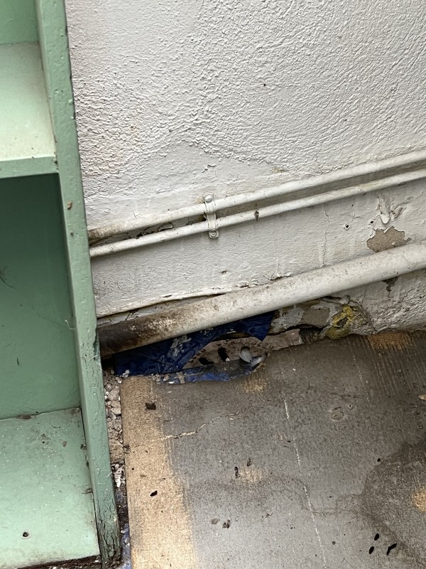 infestation de rongeurs dans une copropriété de Marseille 13004