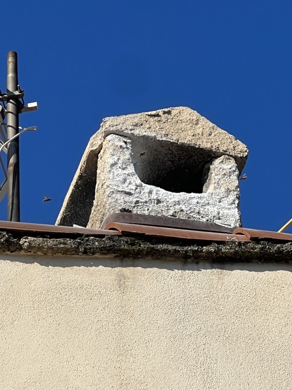 traitement nid de frelons européens dans une cheminée sur la commune de Rognes 13840 dans les Bouches-du-Rhône  (13)