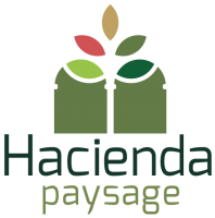 Architecte paysager pour création de jardin avec piscine Bandol Var Hacienda Paysage